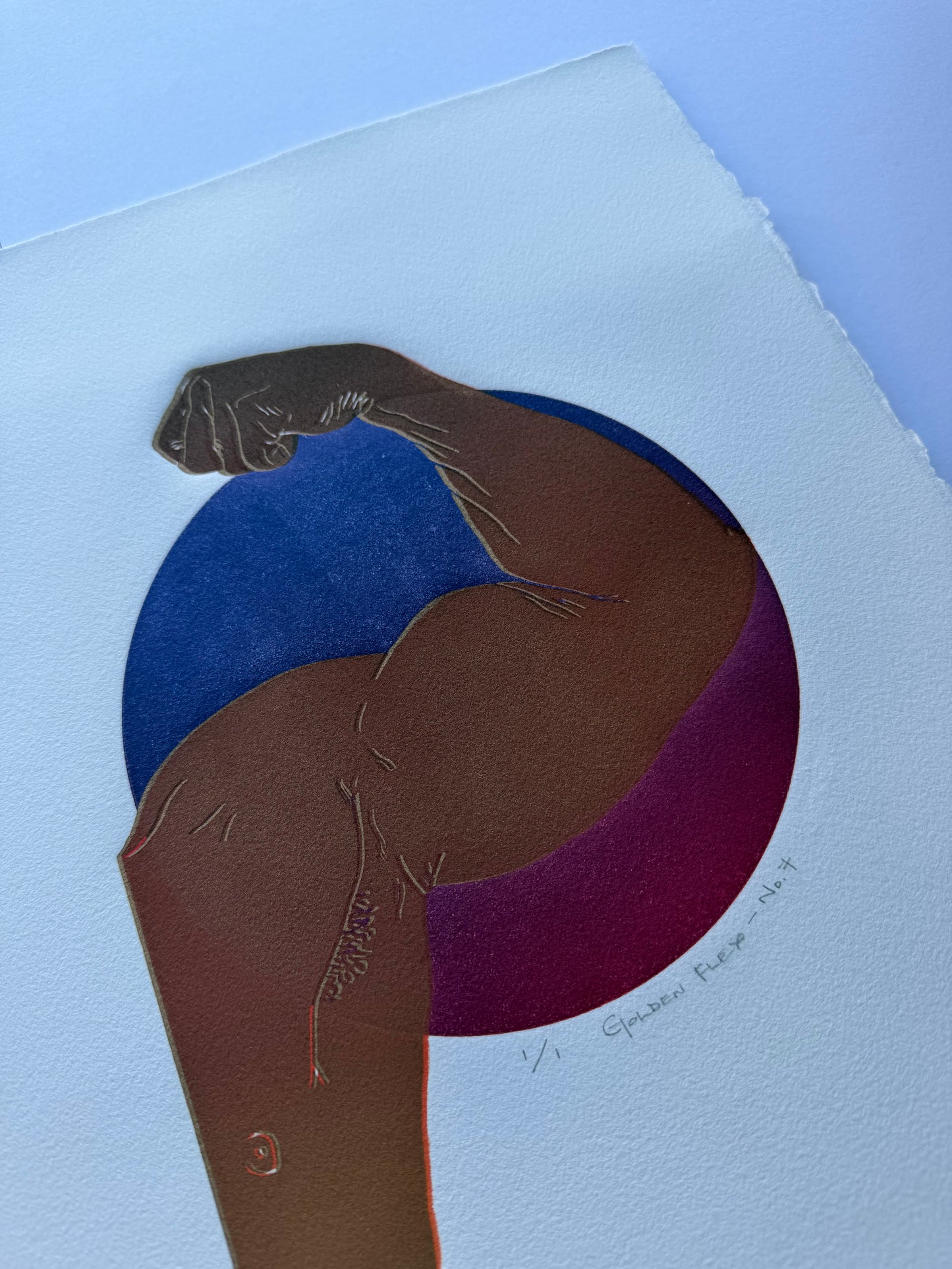 “Golden Flex - No. 12”. 11x14 Art. Unmatted.